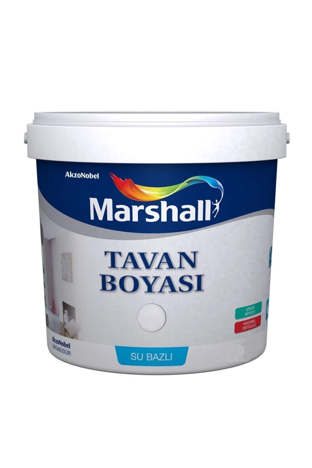 Marshall Tavan Boyası